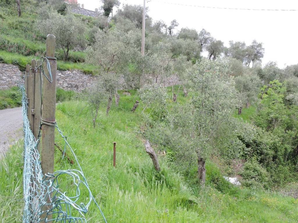 Terreno a Chiavari in Urb. Terreno Edificabile Sanpierdicanne - Campodonico - Maxena - Foto 2