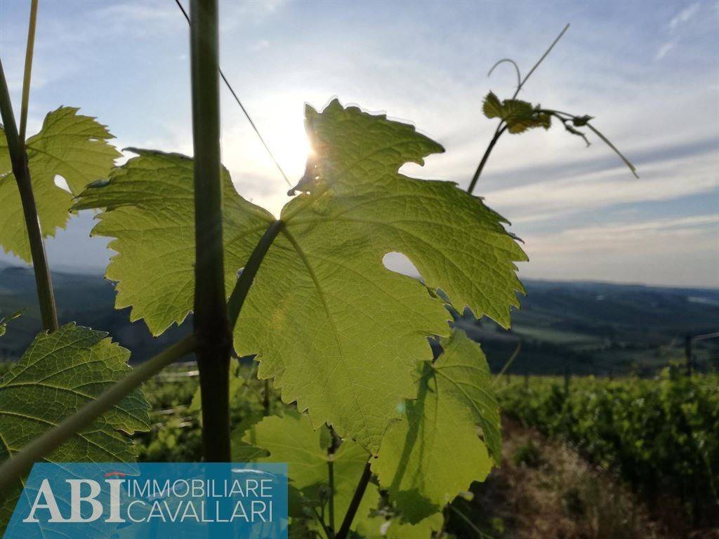 Immobile a Brisighella in VIA MONTEFORTINO - Foto 2
