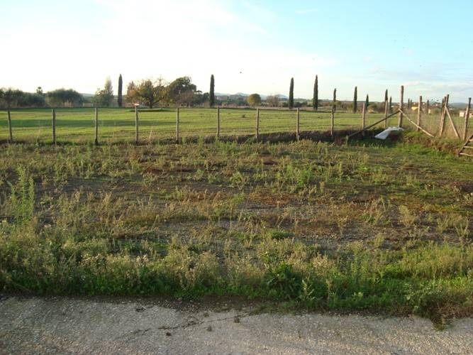 Immobile a Fiumicino in Vicolo del Casale di Castellaccio - Foto 2