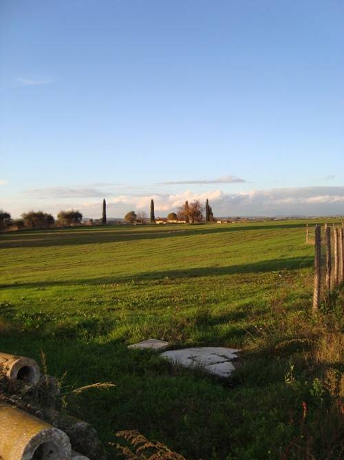 Immobile a Fiumicino in Vicolo del Casale di Castellaccio - Foto 4