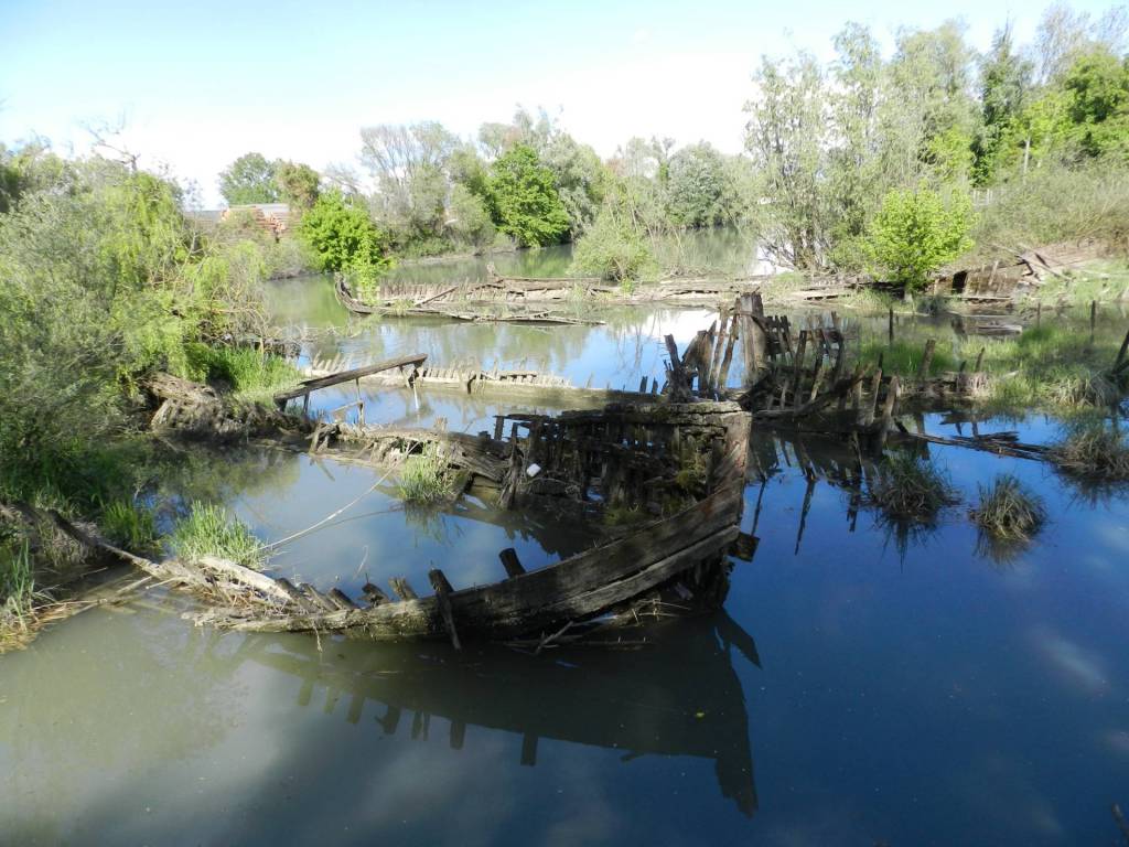 Appartamento a Silea - Foto 3