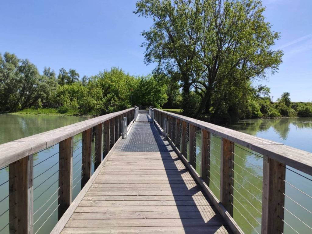 Attico / mansarda a Silea - Foto 3