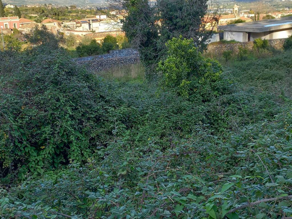 Terreno a Mascali in Via San Giovanni Bosco, 16 - Foto 5