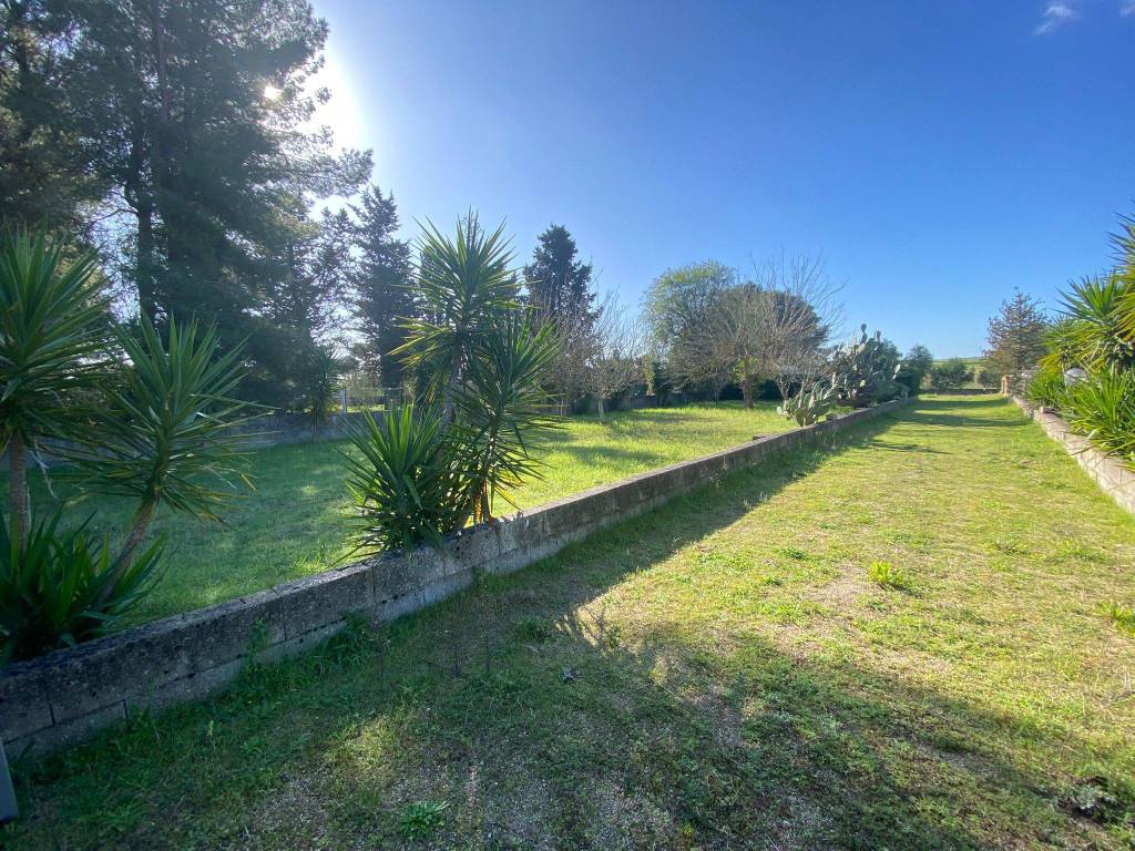 Terreno a Maglie - Foto 4