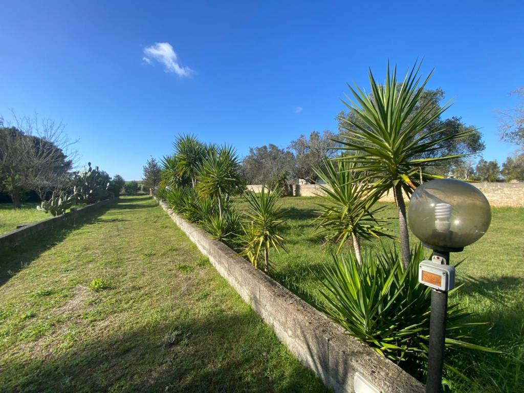 Terreno a Maglie - Foto 5