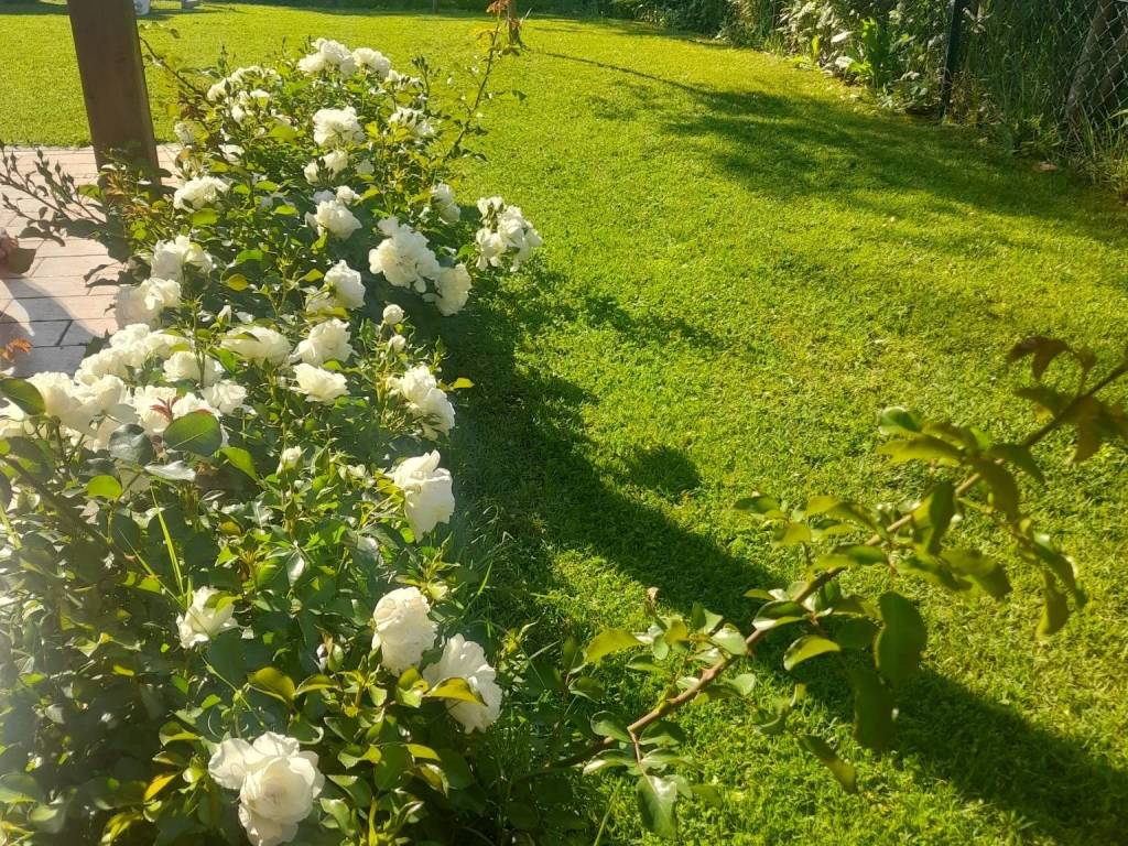 Villa a Pesaro in Strada di San Germano - Foto 4