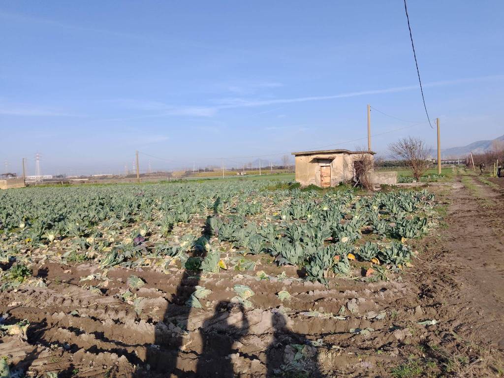Terreno a Acerra in Via Roma - Foto 2