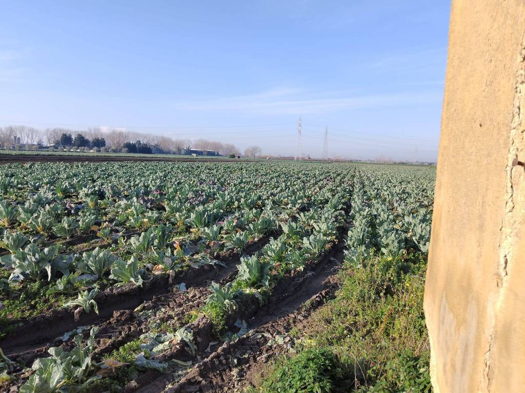 Terreno a Acerra in Via Roma - Foto 5