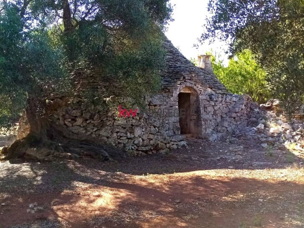 Terreno a Ceglie messapica - Foto 2