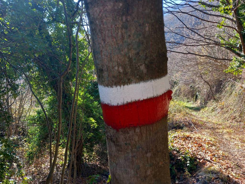 Rustico / casale a Pennapiedimonte in contrada feudo - Foto 5