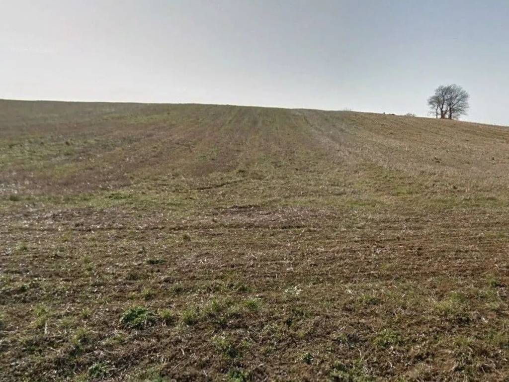 Terreno a Bolsena - Foto 2