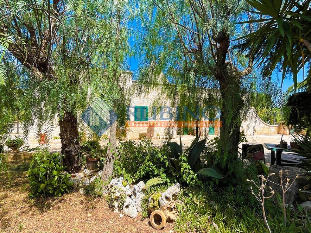 Villa a Monopoli in Contrada San Gerardo - Foto 5