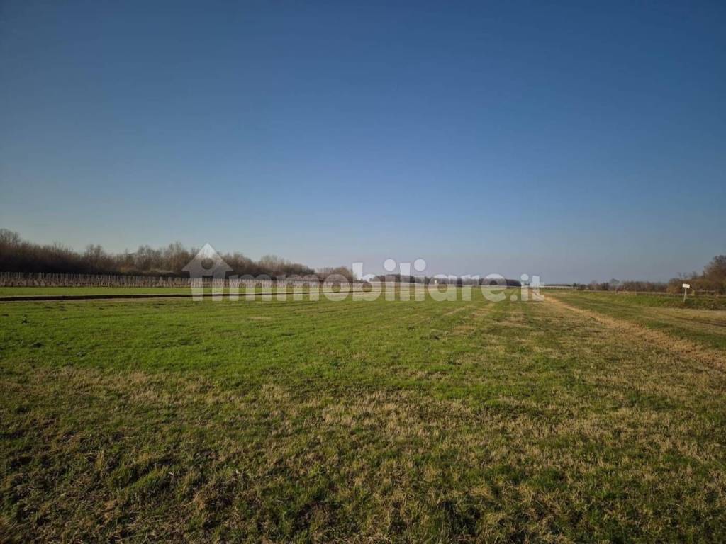 Terreno a Bagnaria arsa in Via dei Banduzzi - Foto 2