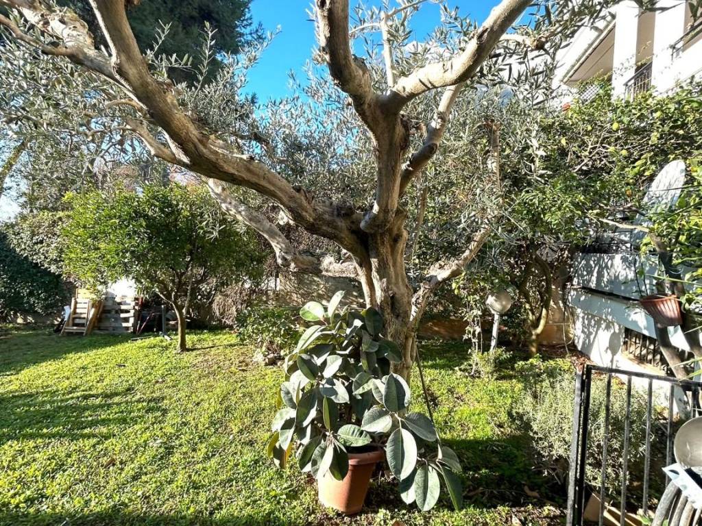 Appartamento a Nettuno in Via Zaccaria Negroni - Foto 4