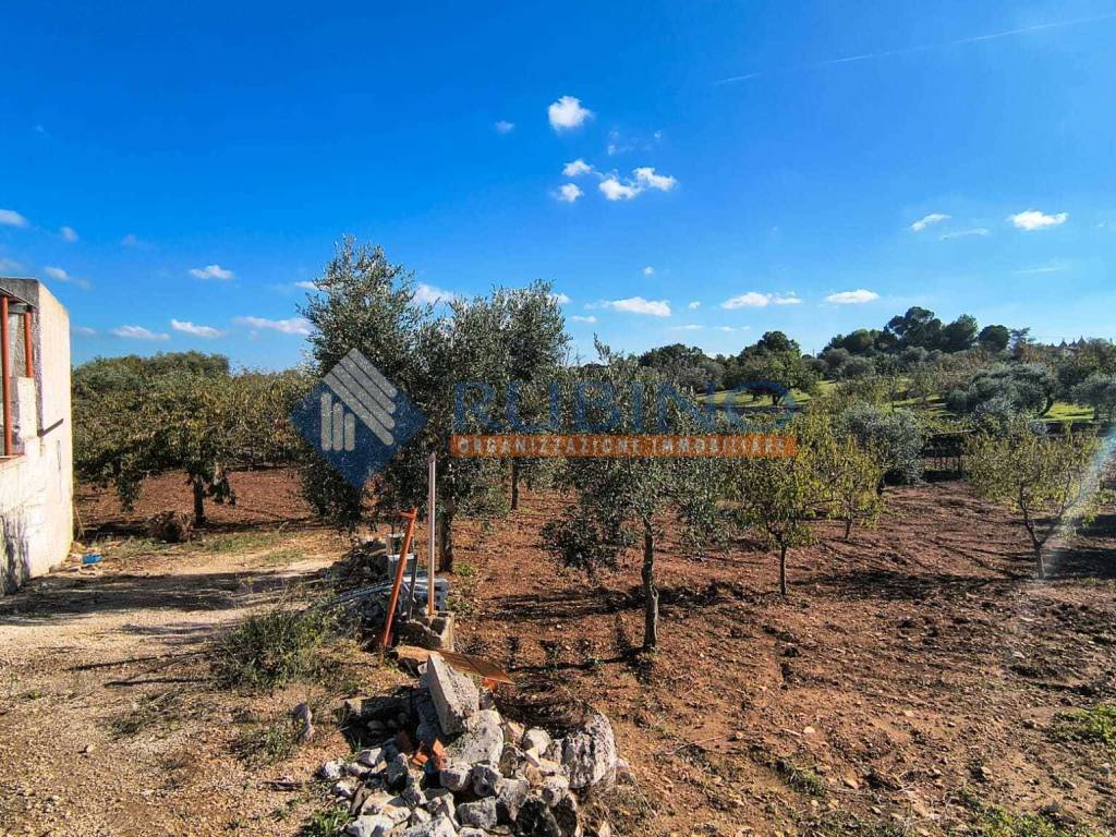 Immobile a Castellana grotte in Via Michele Centrone - Foto 5