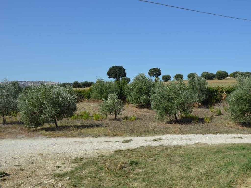 Rustico / casale a Recanati - Foto 2