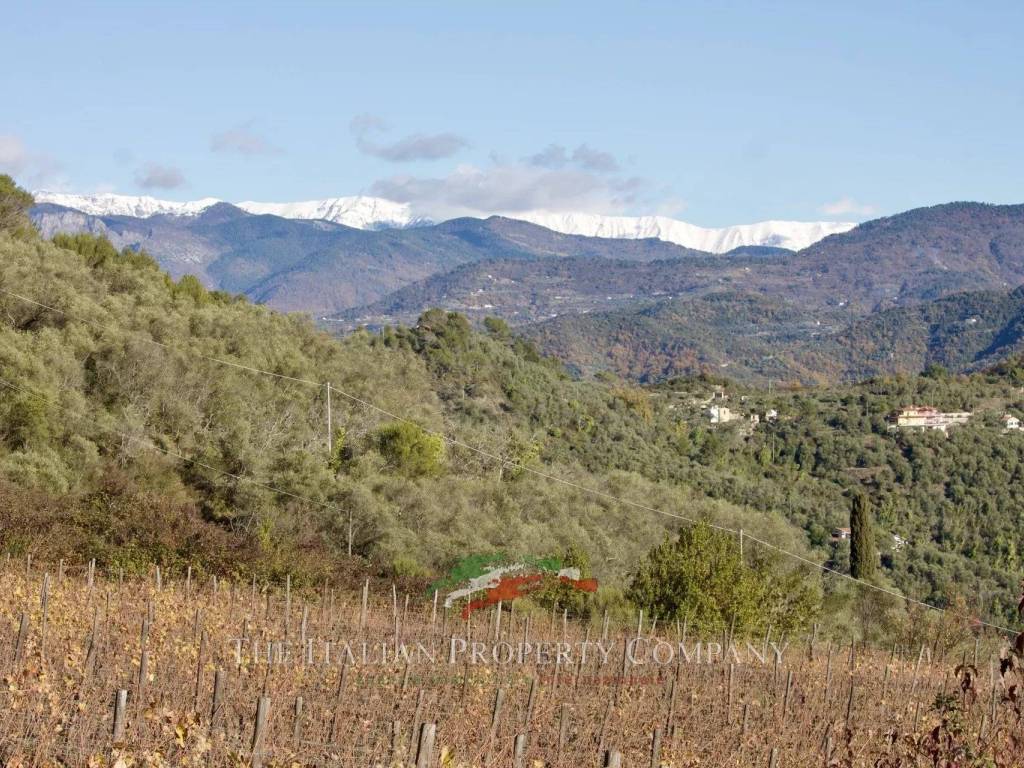 Terreno a Perinaldo in SP62, 30 - Foto 2