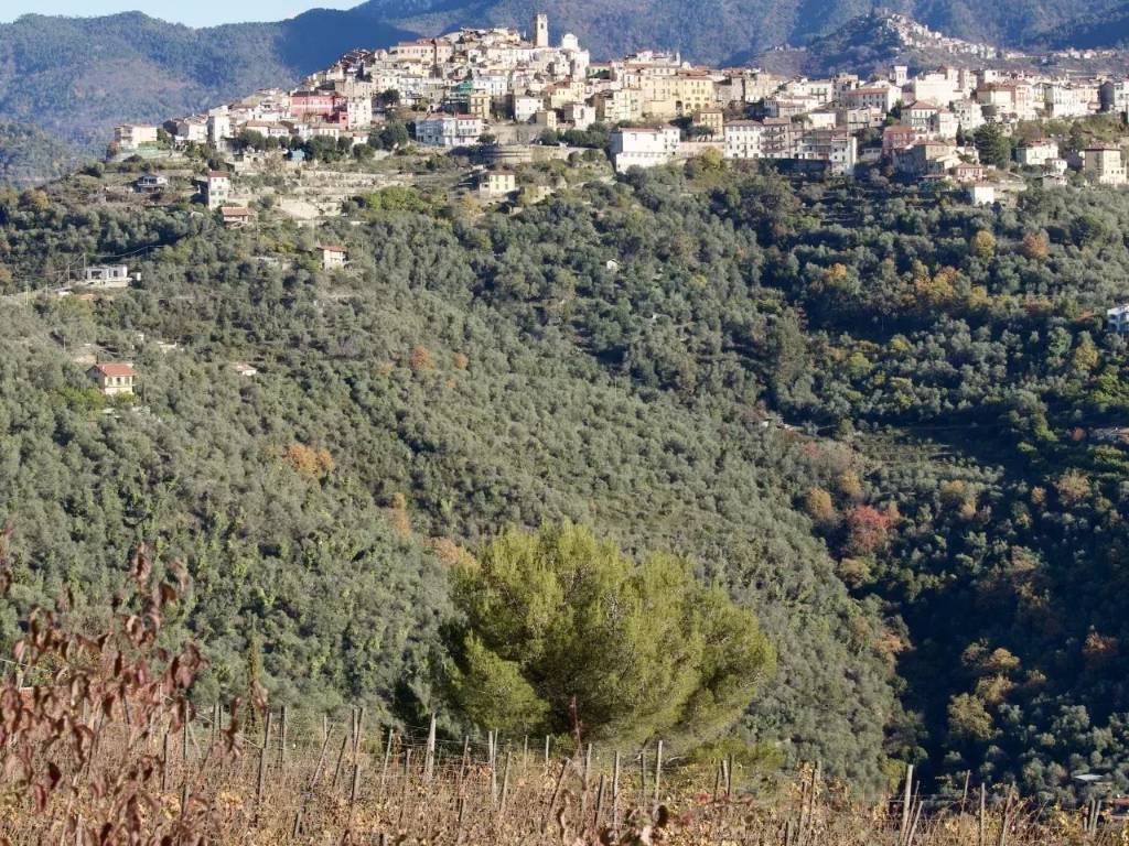 Terreno a Perinaldo in SP62, 30 - Foto 3