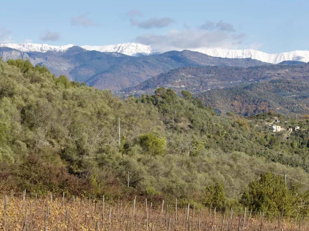 Terreno a Perinaldo in SP62, 30 - Foto 4