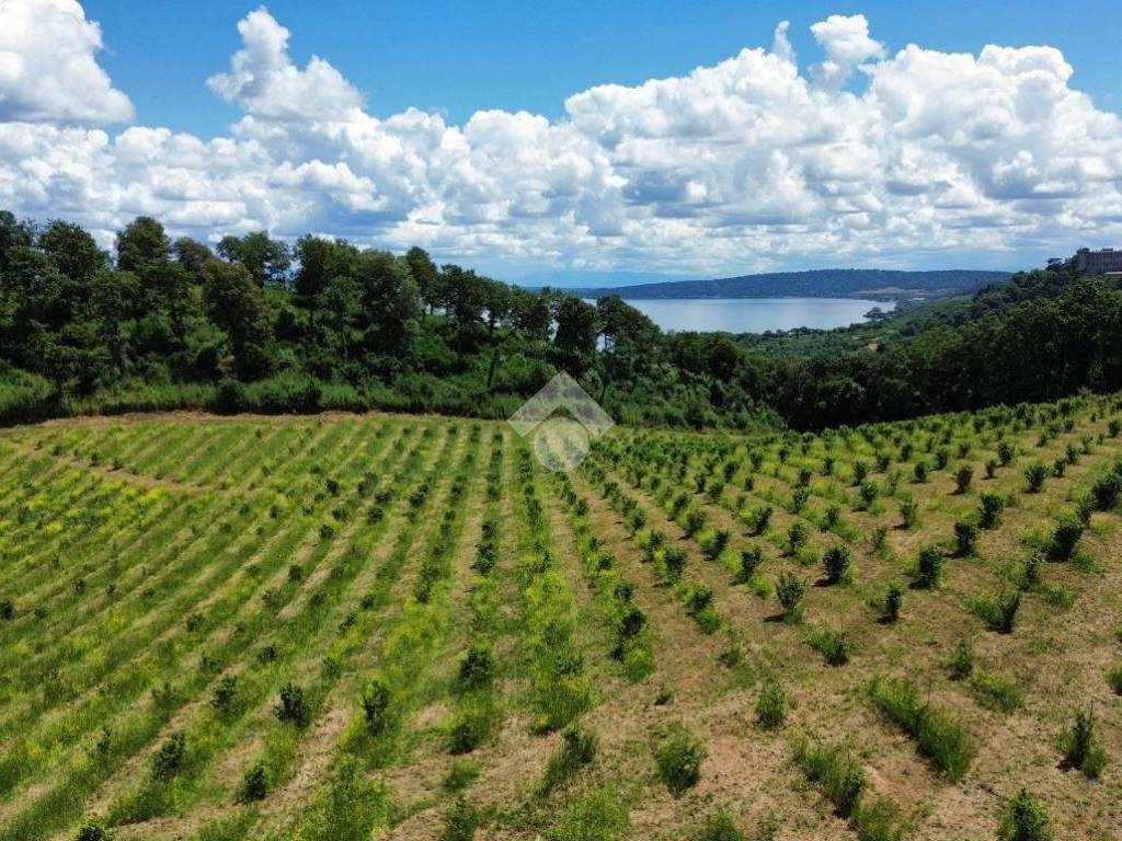 Terreno a Bracciano in VIA DELLA CISTERNA - Foto 2