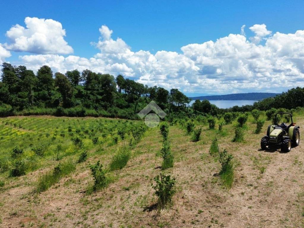 Terreno a Bracciano in VIA DELLA CISTERNA - Foto 3