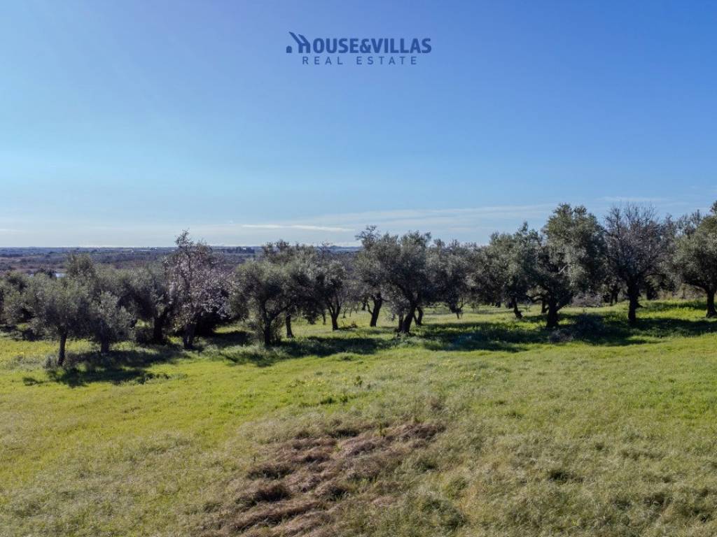 Villa a Noto in vendicari noto - Foto 4