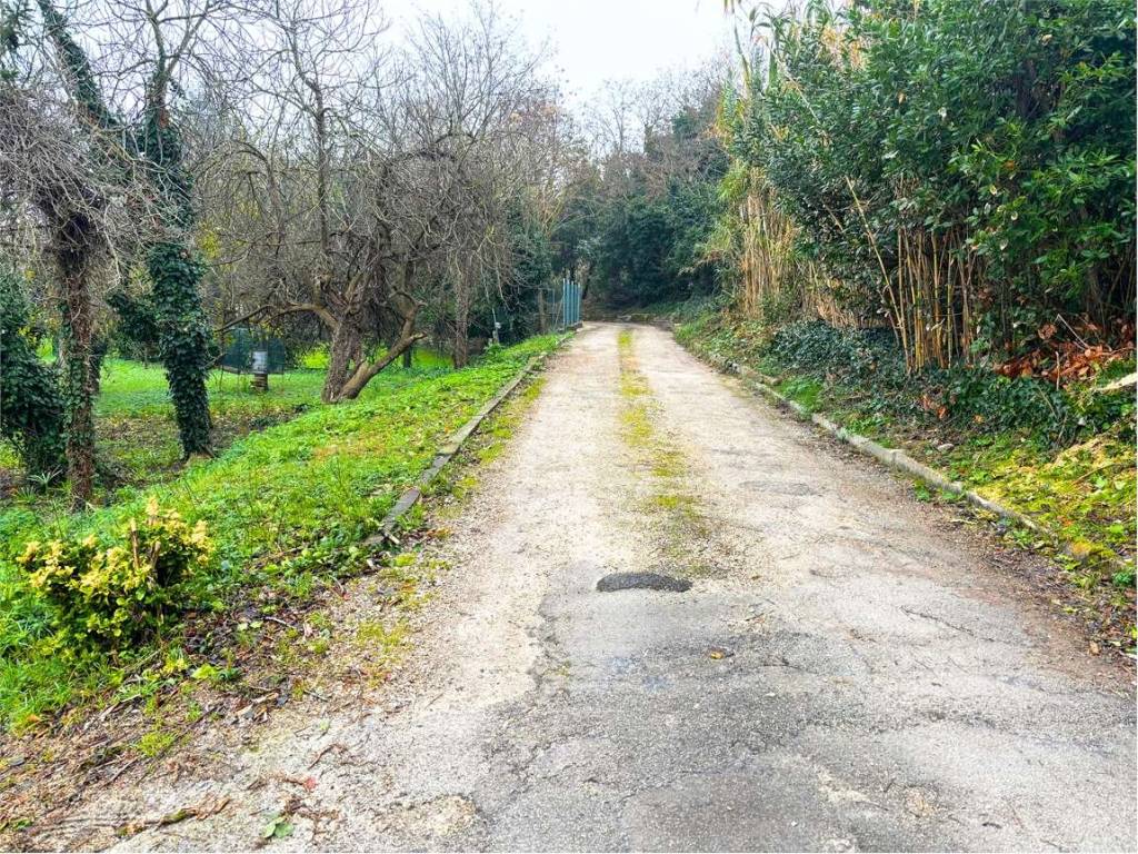 Casa indipendente a Falconara marittima - Foto 4