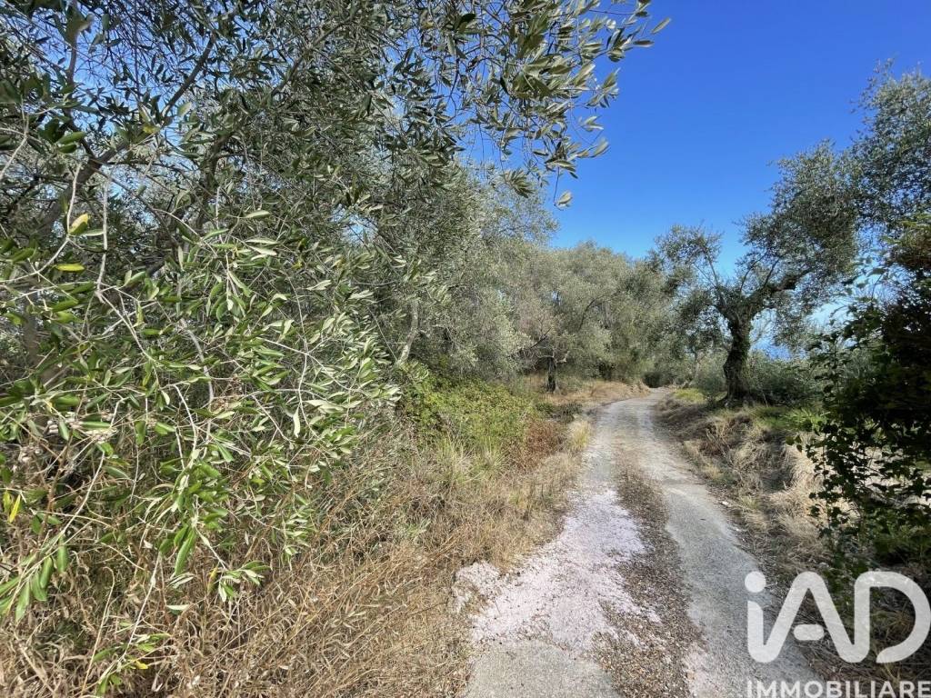 Terreno a Cipressa in Strada Antica Torre - Foto 4