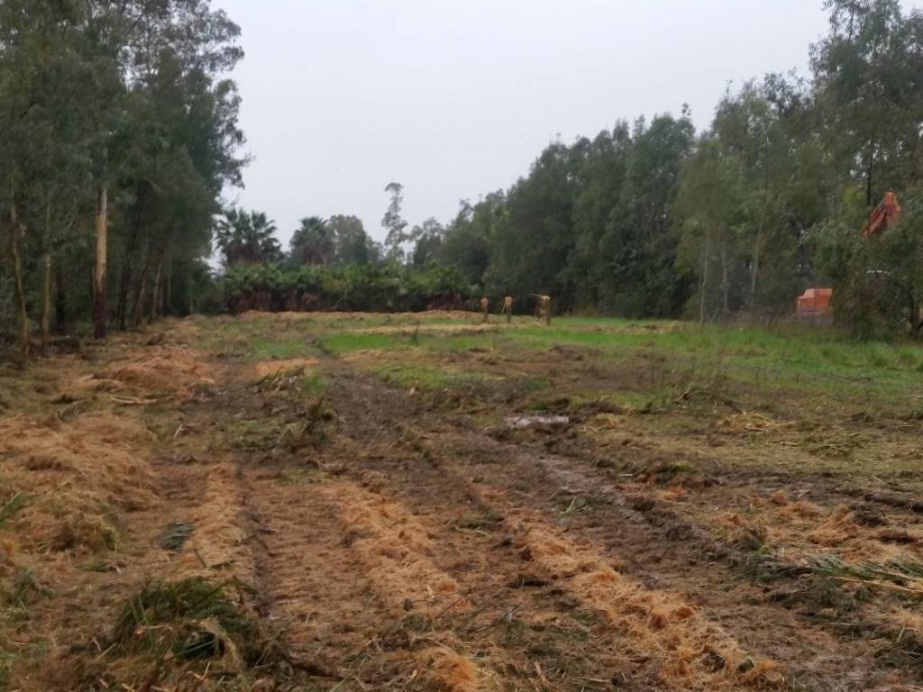 Terreno a Pisa - Foto 2