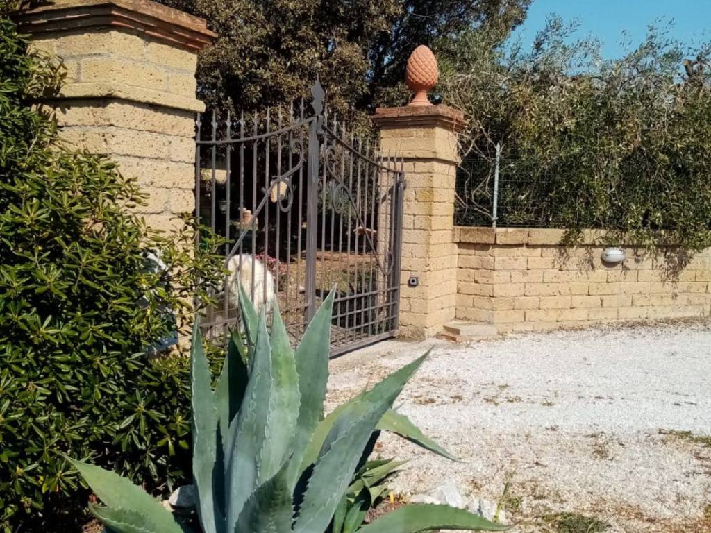 Casa indipendente a Piombino - Foto 2