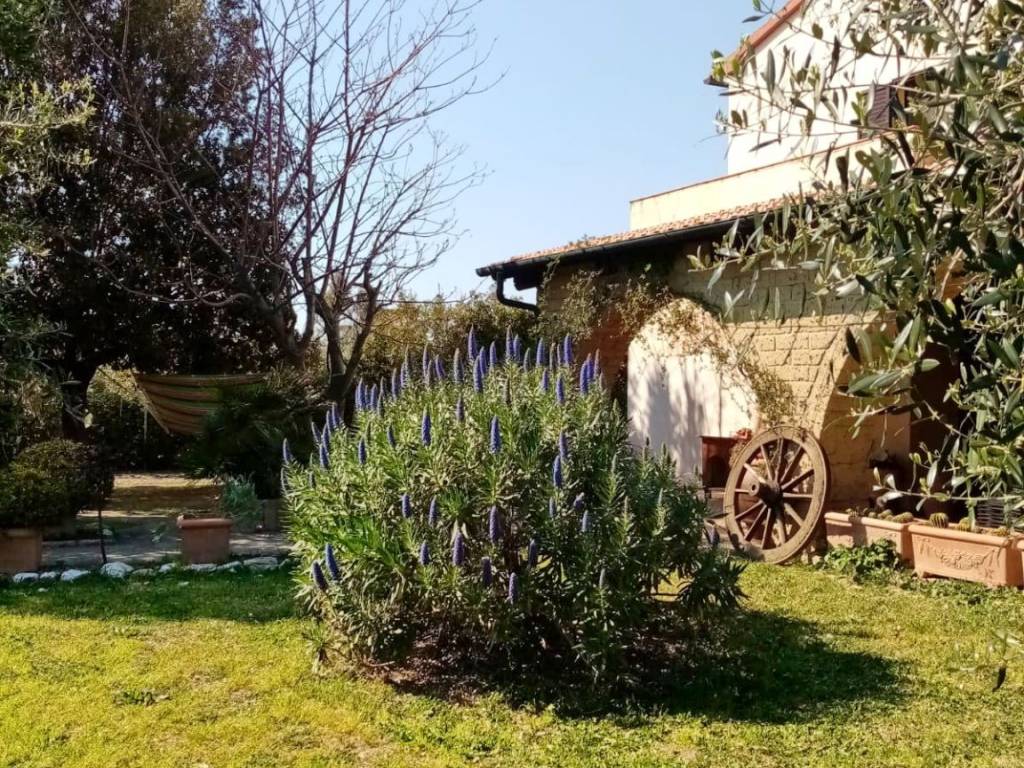 Casa indipendente a Piombino - Foto 3