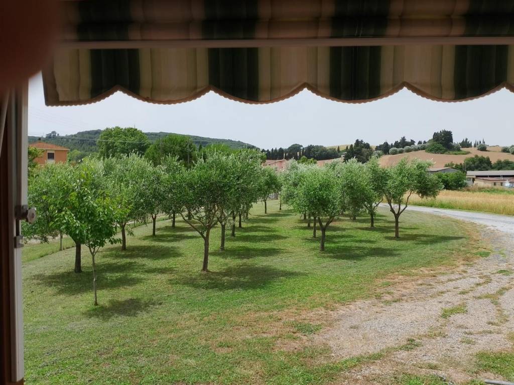 Casa indipendente a Rosignano marittimo - Foto 3