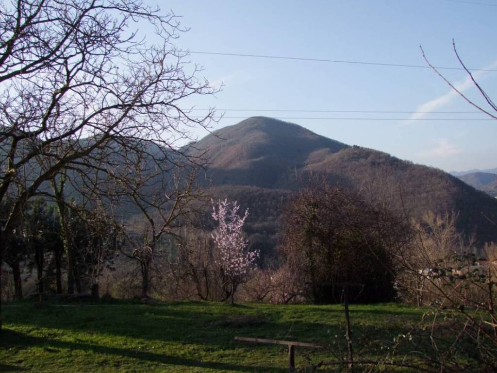 Rustico / casale a Rufina - Foto 5