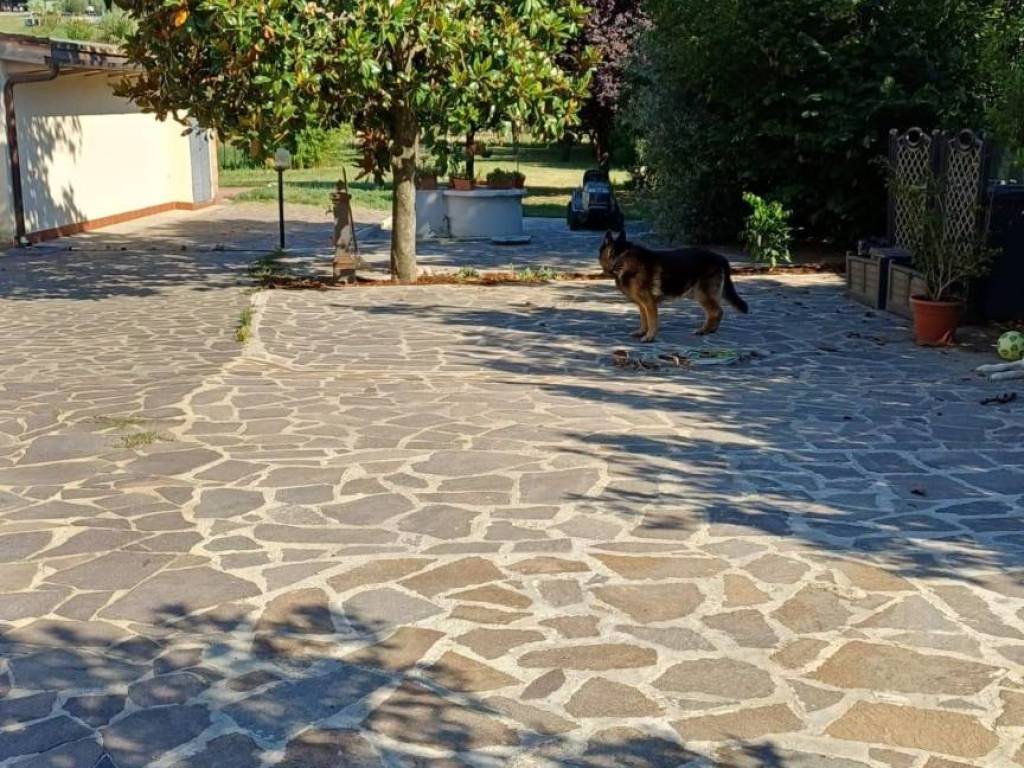 Villa a San miniato - Foto 3