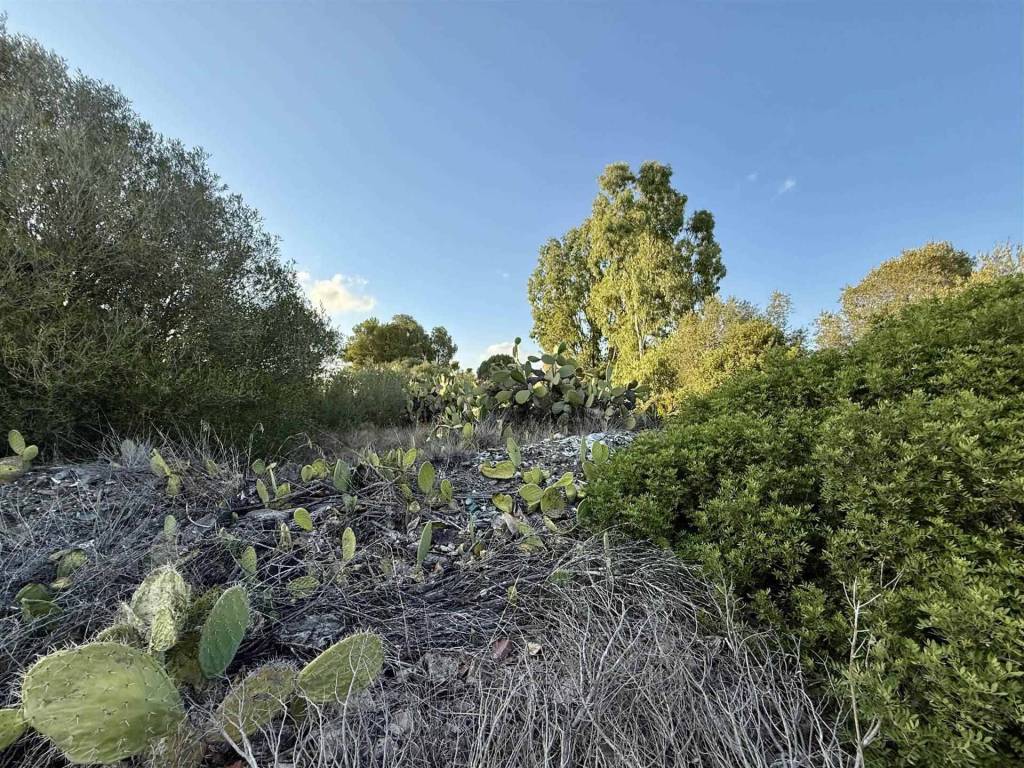 Rustico / casale a San giovanni suergiu in Località Santu Milanu - Foto 2