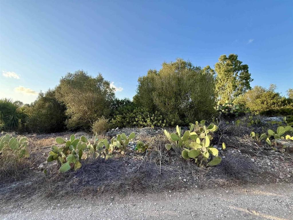 Rustico / casale a San giovanni suergiu in Località Santu Milanu - Foto 3