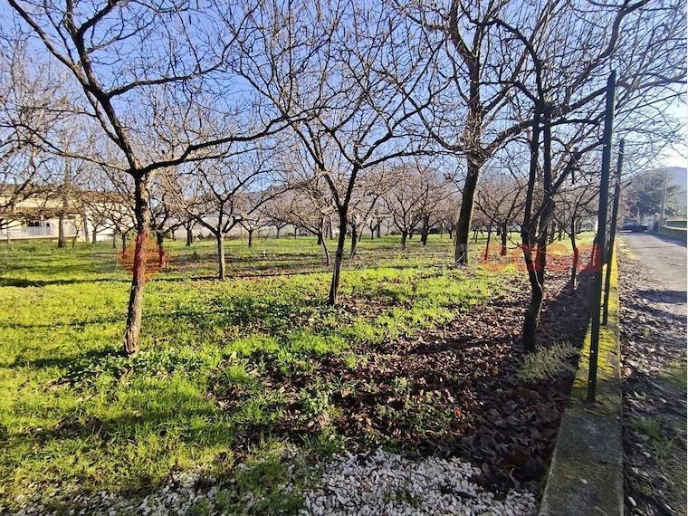 Terreno a Mercato san severino in Via Corticelle, 40 - Foto 4