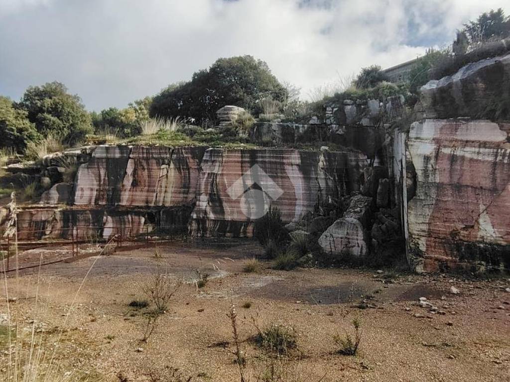 Terreno a Castellammare del golfo in CONTRADA BADIA MONTE INICI - Foto 3