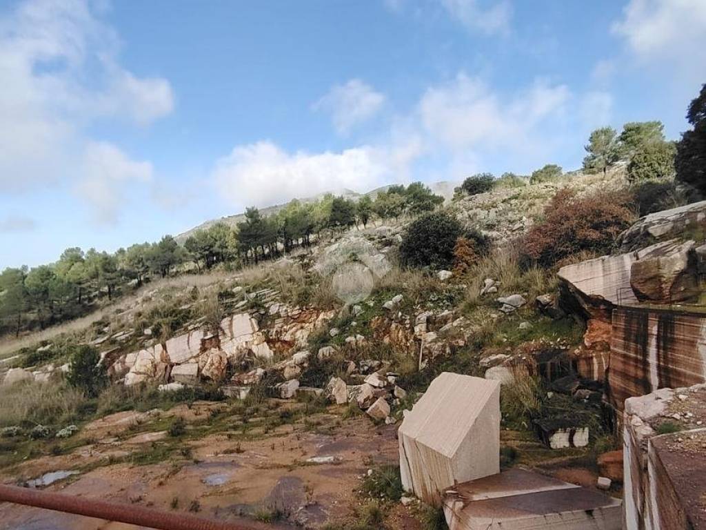 Terreno a Castellammare del golfo in CONTRADA BADIA MONTE INICI - Foto 4