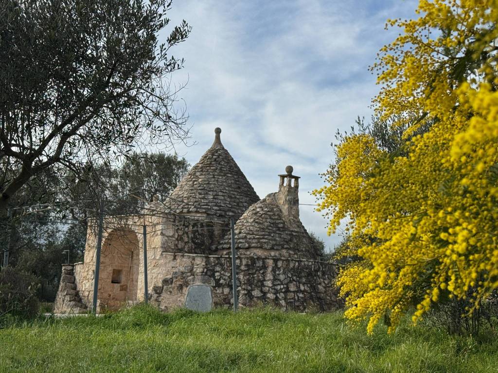 Rustico / casale a Ostuni in SP22 - Foto 4