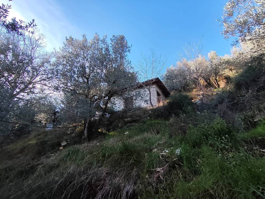 Terreno a Terni in Vocabolo Poggio Azzuano - Foto 2