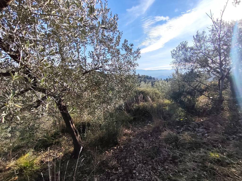 Terreno a Terni in Vocabolo Poggio Azzuano - Foto 4