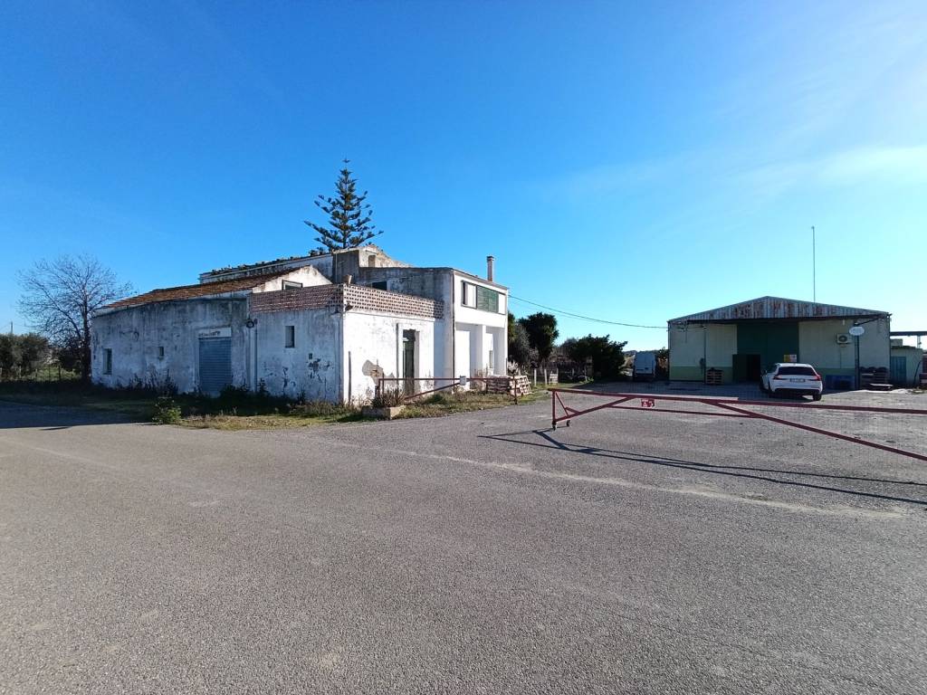 Terreno a Pisticci - Foto 2