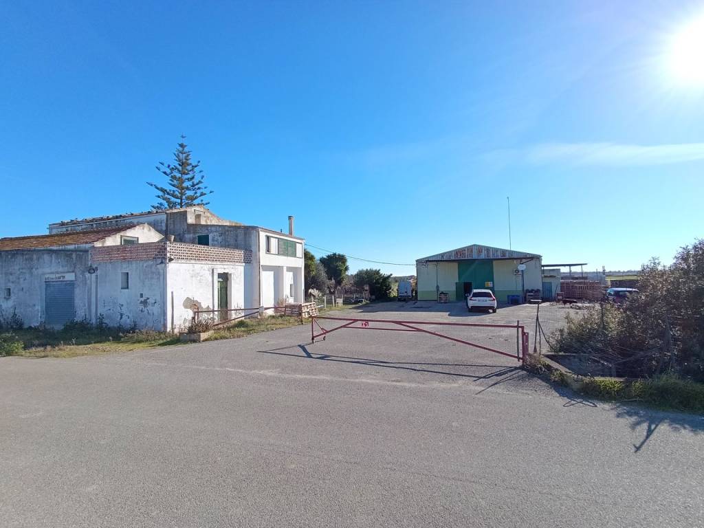 Terreno a Pisticci - Foto 3