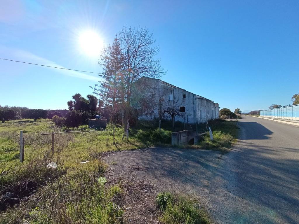 Terreno a Pisticci - Foto 5