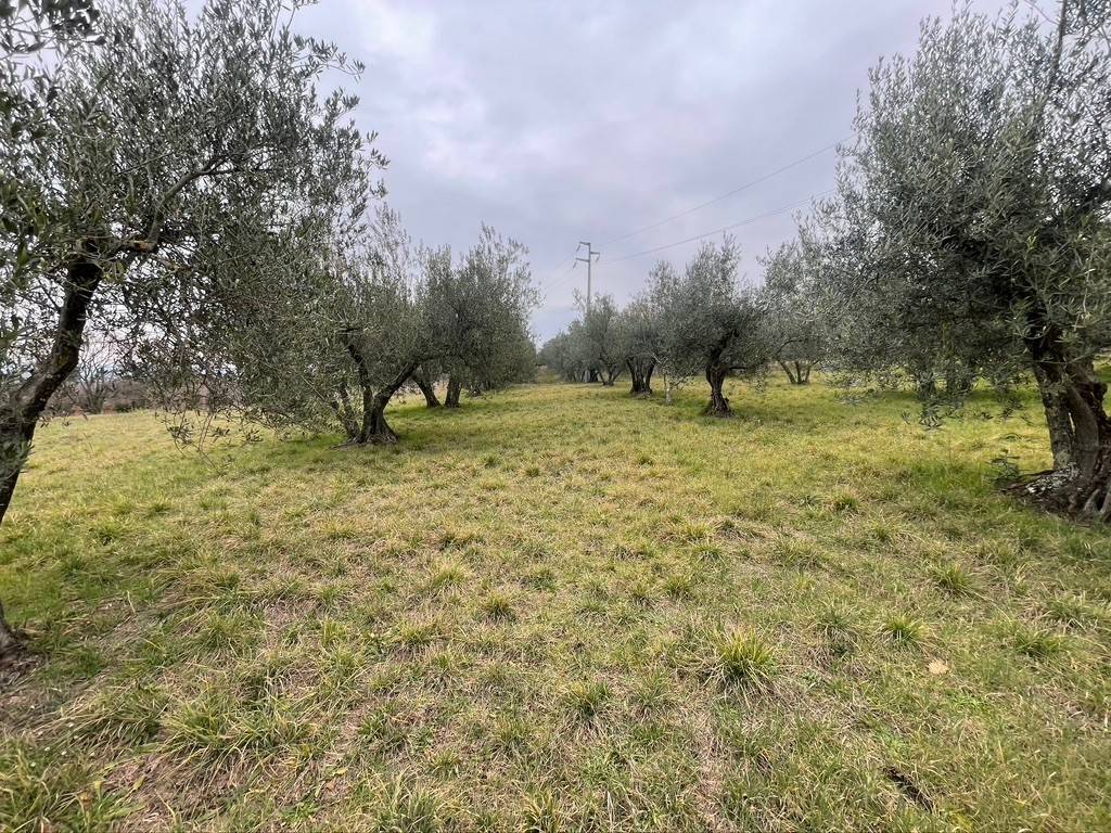 Terreno a Viterbo - Foto 2