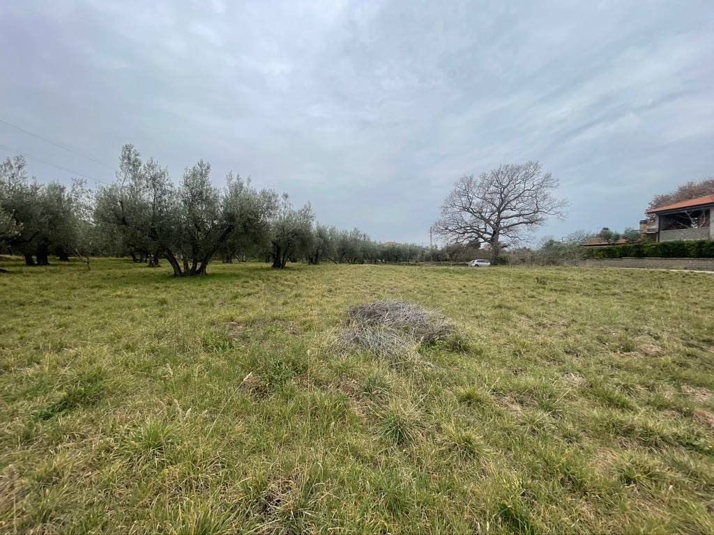 Terreno a Viterbo - Foto 3