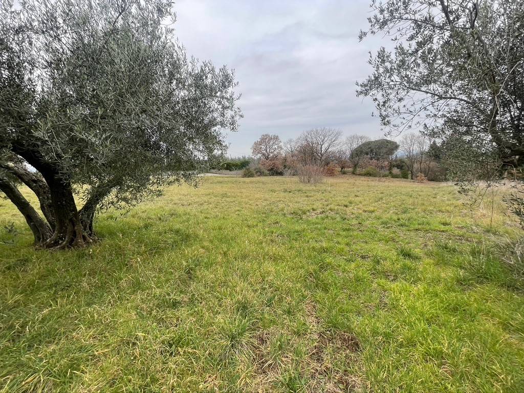 Terreno a Viterbo - Foto 4