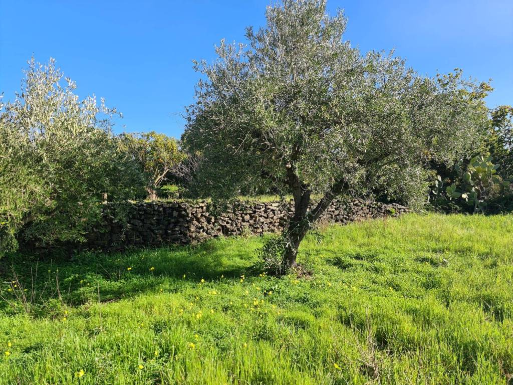 Terreno a Santa venerina in Via Fichera - Foto 2