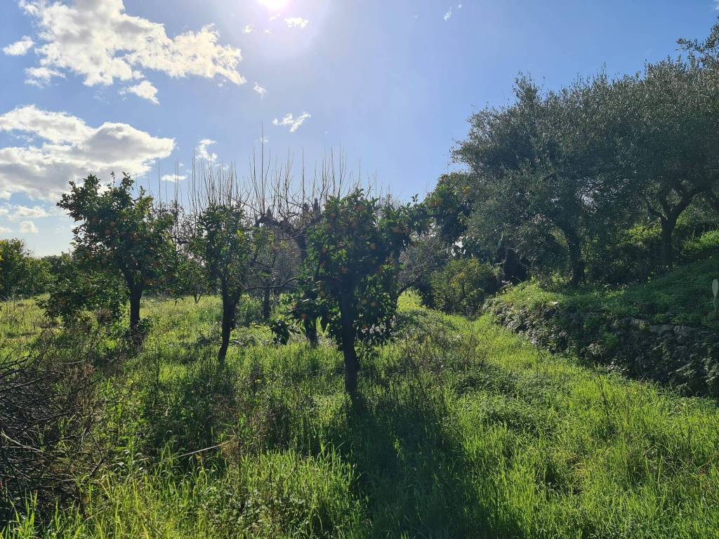 Terreno a Santa venerina in Via Fichera - Foto 3